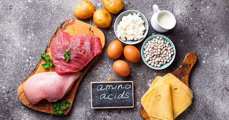 Aminoacidos - MASTER NUTRICION