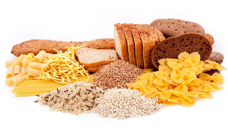 Carbohidratos - MASTER NUTRICION