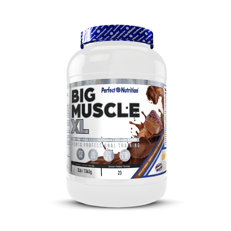Big Muscle XL 7KG Perfect Nutricion Master Nutrition