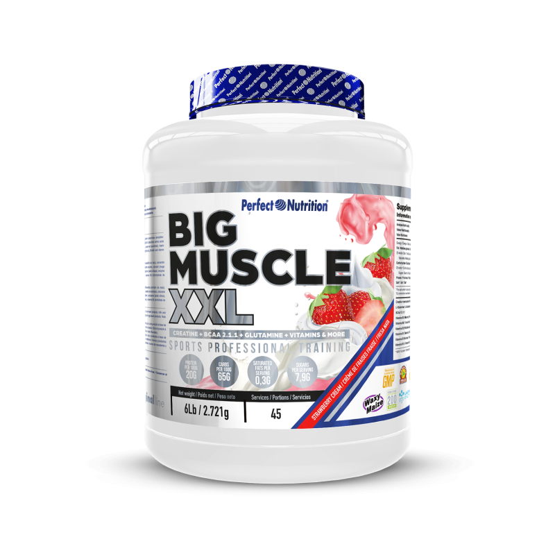 Big Muscle XL 7KG Perfect Nutricion Master Nutrition