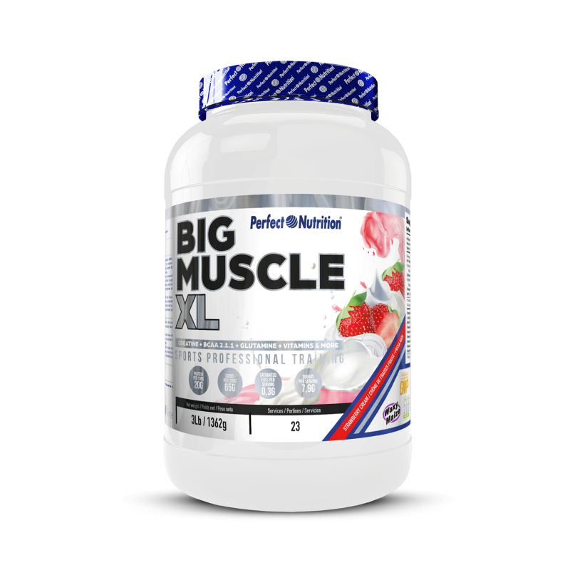 Big Muscle XL 7KG Perfect Nutricion Master Nutrition