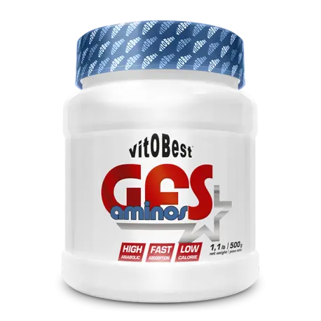 GFS Amions 500gr - MASTER NUTRICION