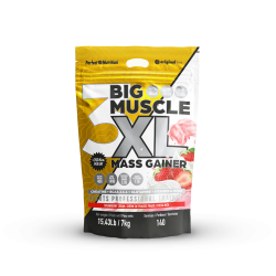 Big Muscle XL Perfect Nutricion Master Nutrition